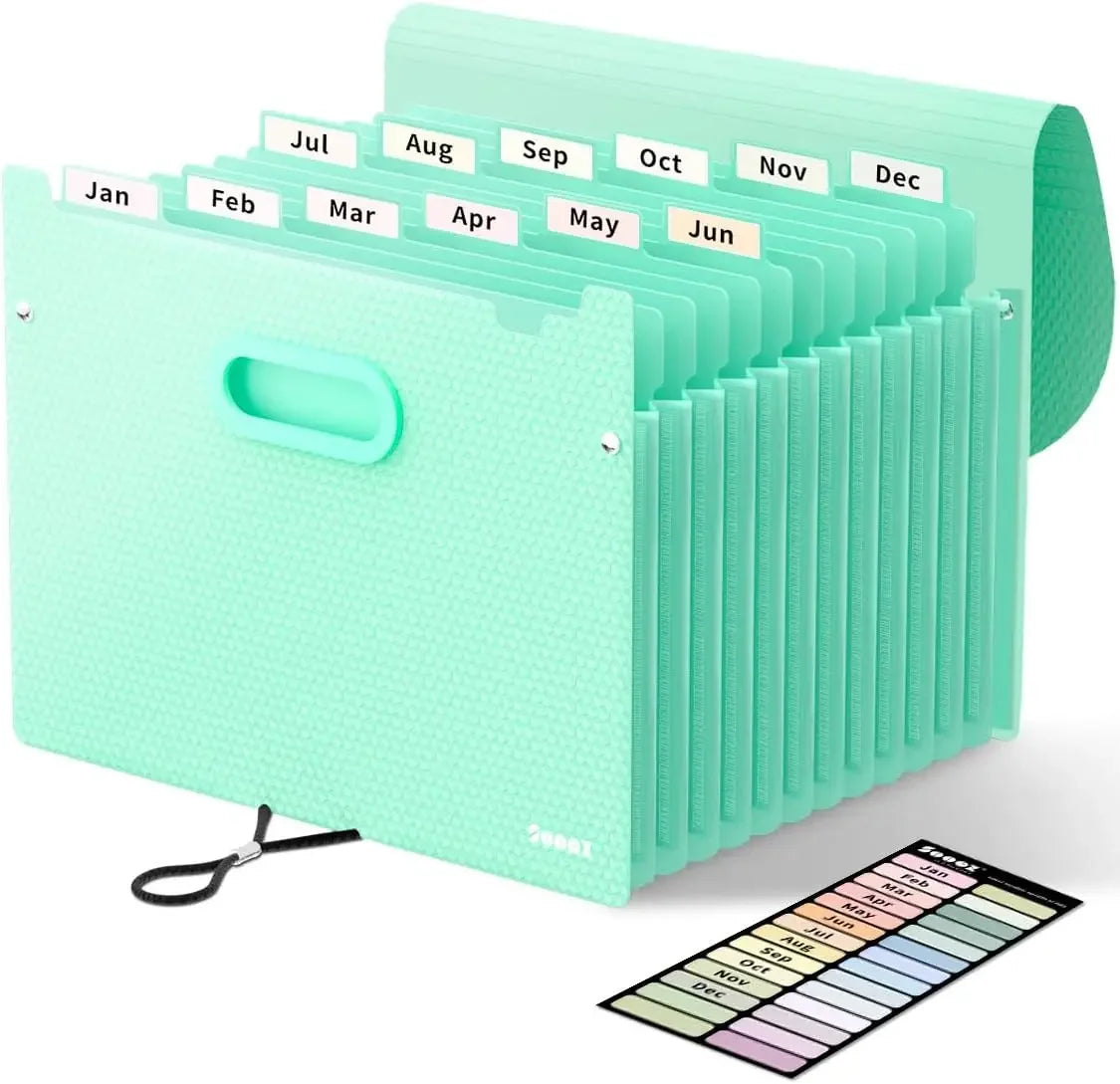 Organ Organizer, 12 Pocket Expandable File Folder