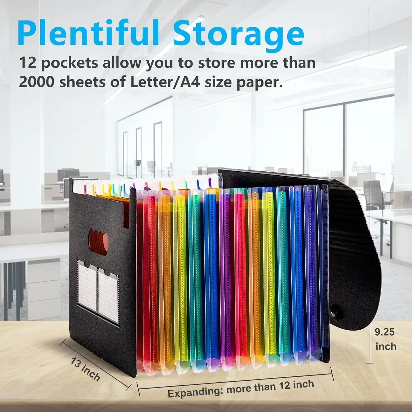Organ Organizer, 12 Pocket Expandable File Folder