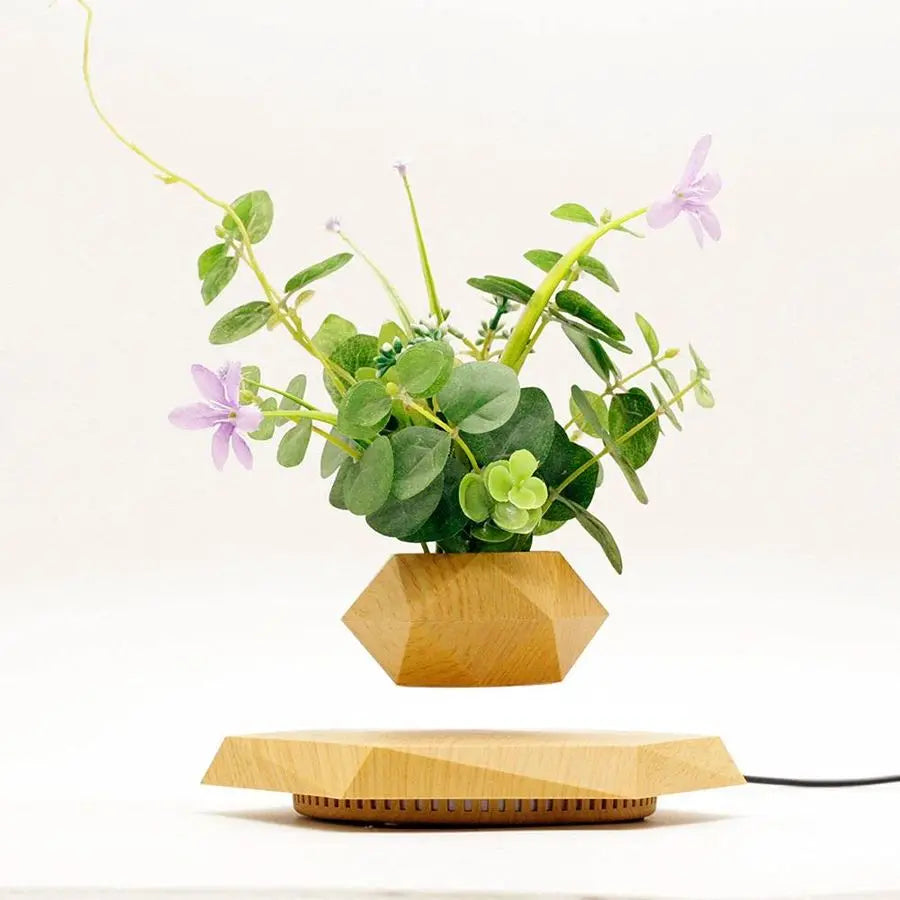 KIYOMING Levitating Plant Pot for Office Home Decoration