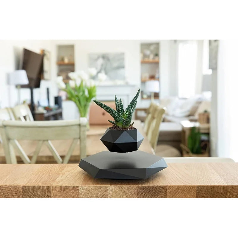 Floating Pot with Magnetic Design for Bonsai, Succulents & Air Plants