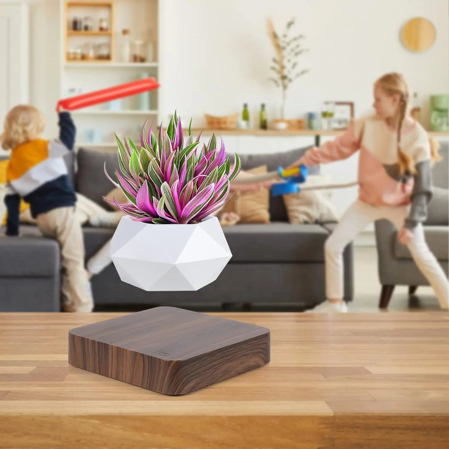 Floating Magnetic Bonsai Pot, Rotating Plant Decor for Home Desk