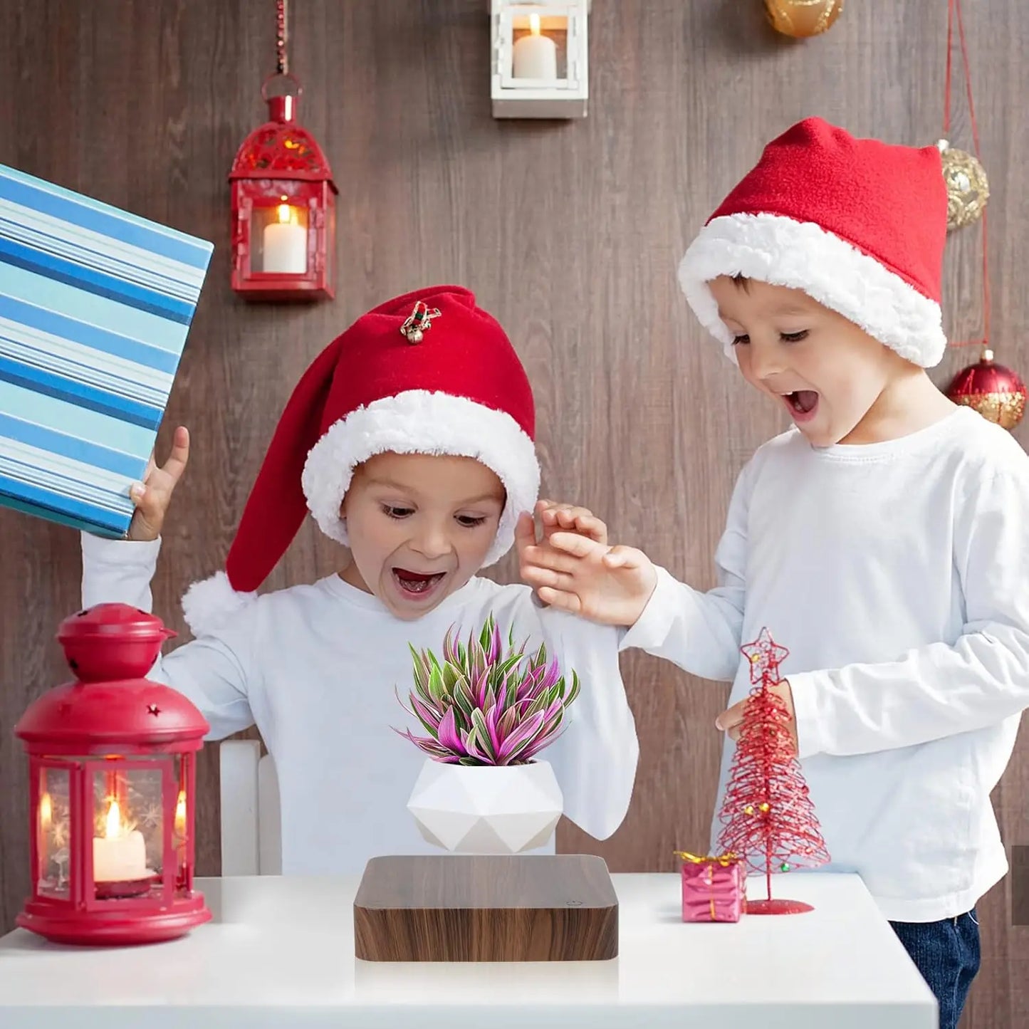 Floating Magnetic Bonsai Pot, Rotating Plant Decor for Home Desk