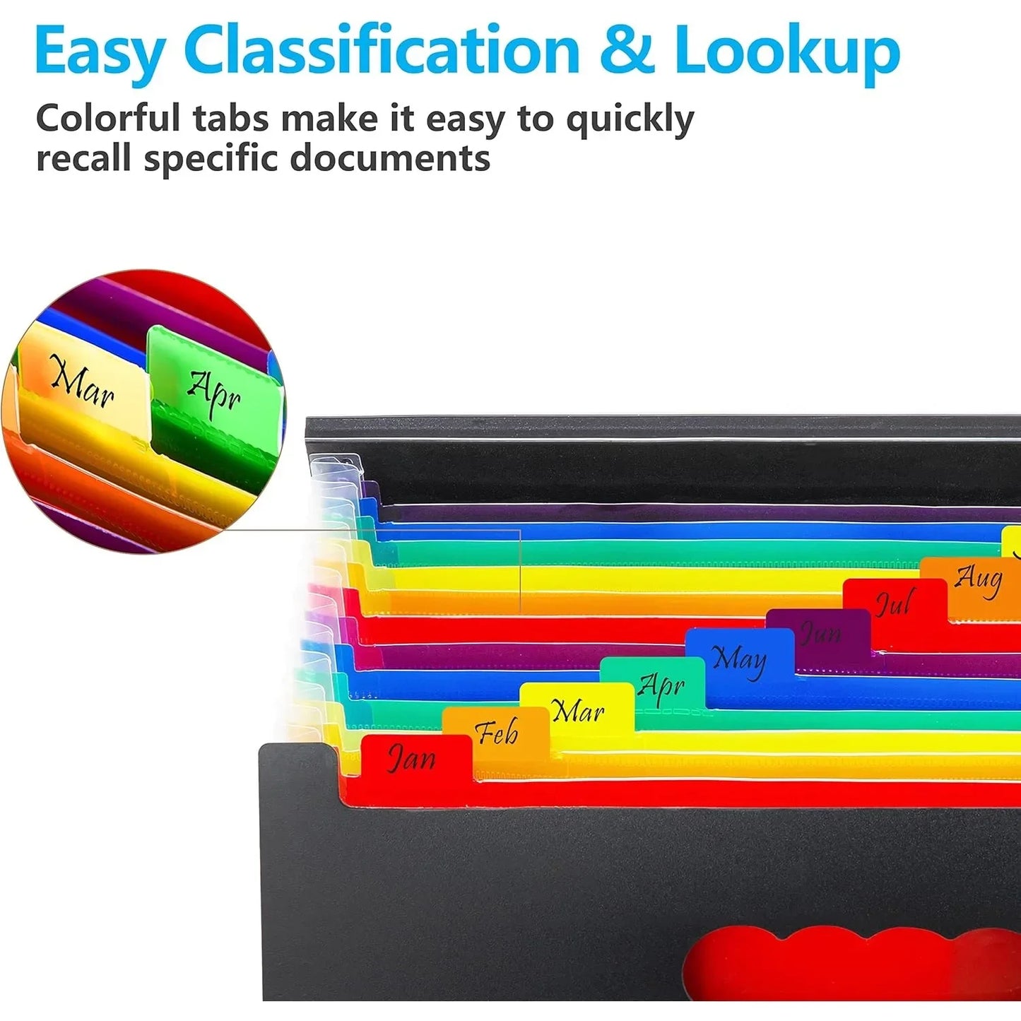 Organ Organizer, 12 Pocket Expandable File Folder