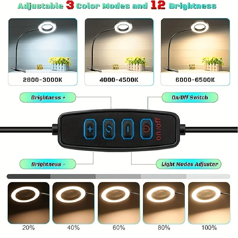 LED Clip-On Magnifying Desk Lamp 5X Magnifier USB Powered 3 Colors 10 Levels