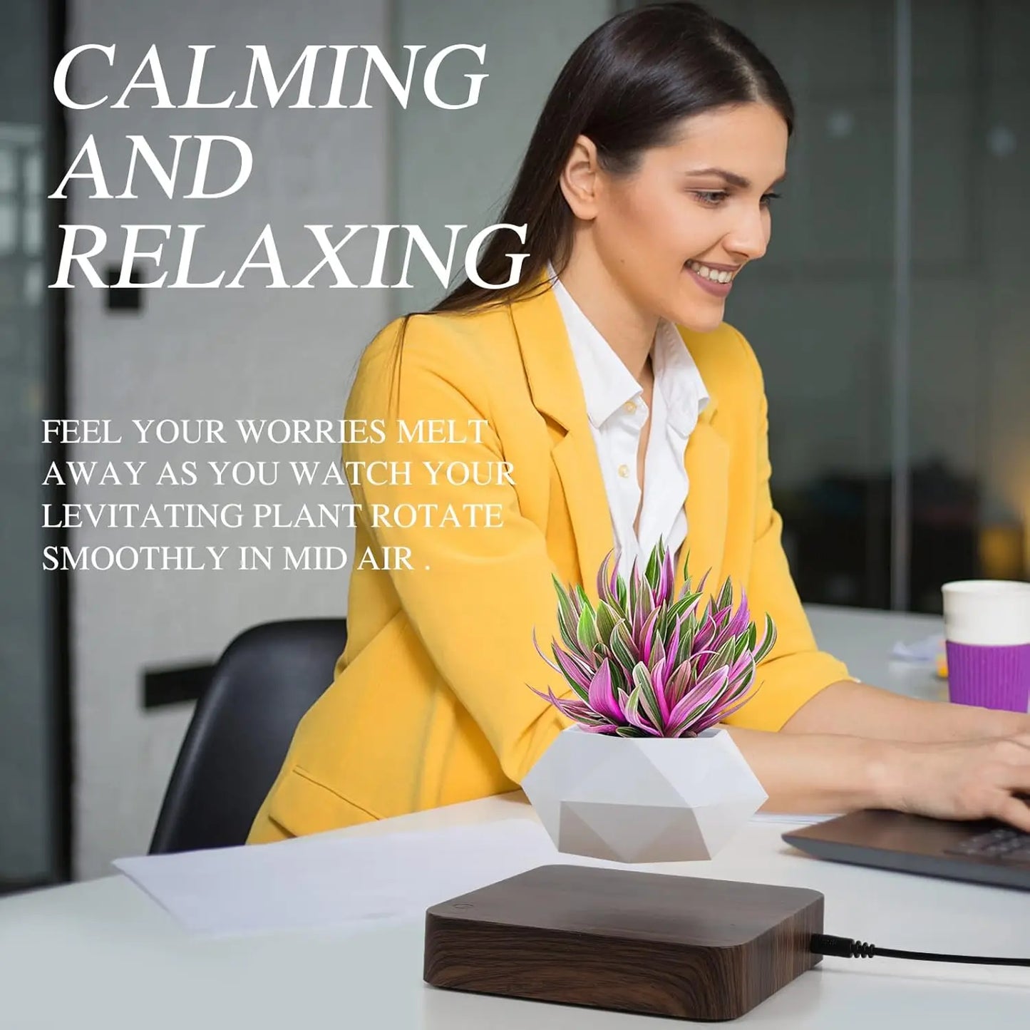 Floating Magnetic Bonsai Pot, Rotating Plant Decor for Home Desk