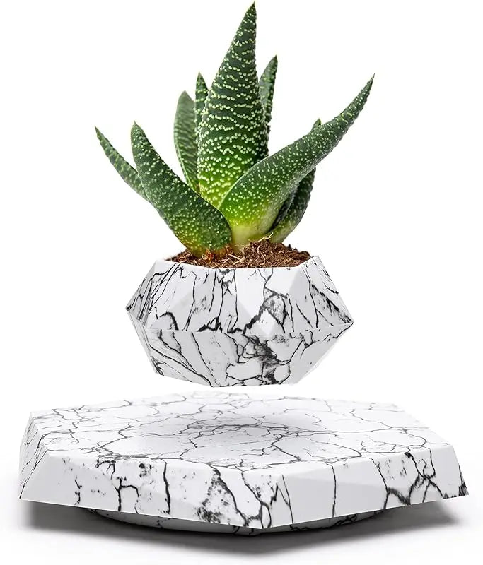 Floating Pot with Magnetic Design for Bonsai, Succulents & Air Plants