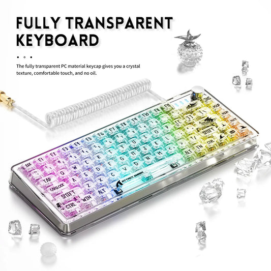 TKL Hot Swappable Wired Keyboard, Transparent PC Keycaps