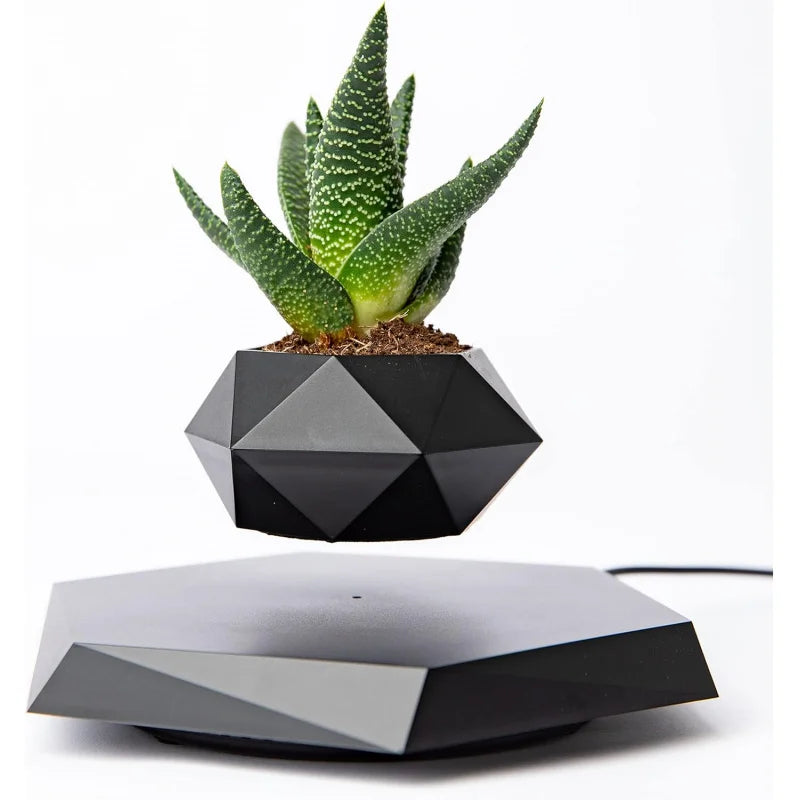 Floating Pot with Magnetic Design for Bonsai, Succulents & Air Plants