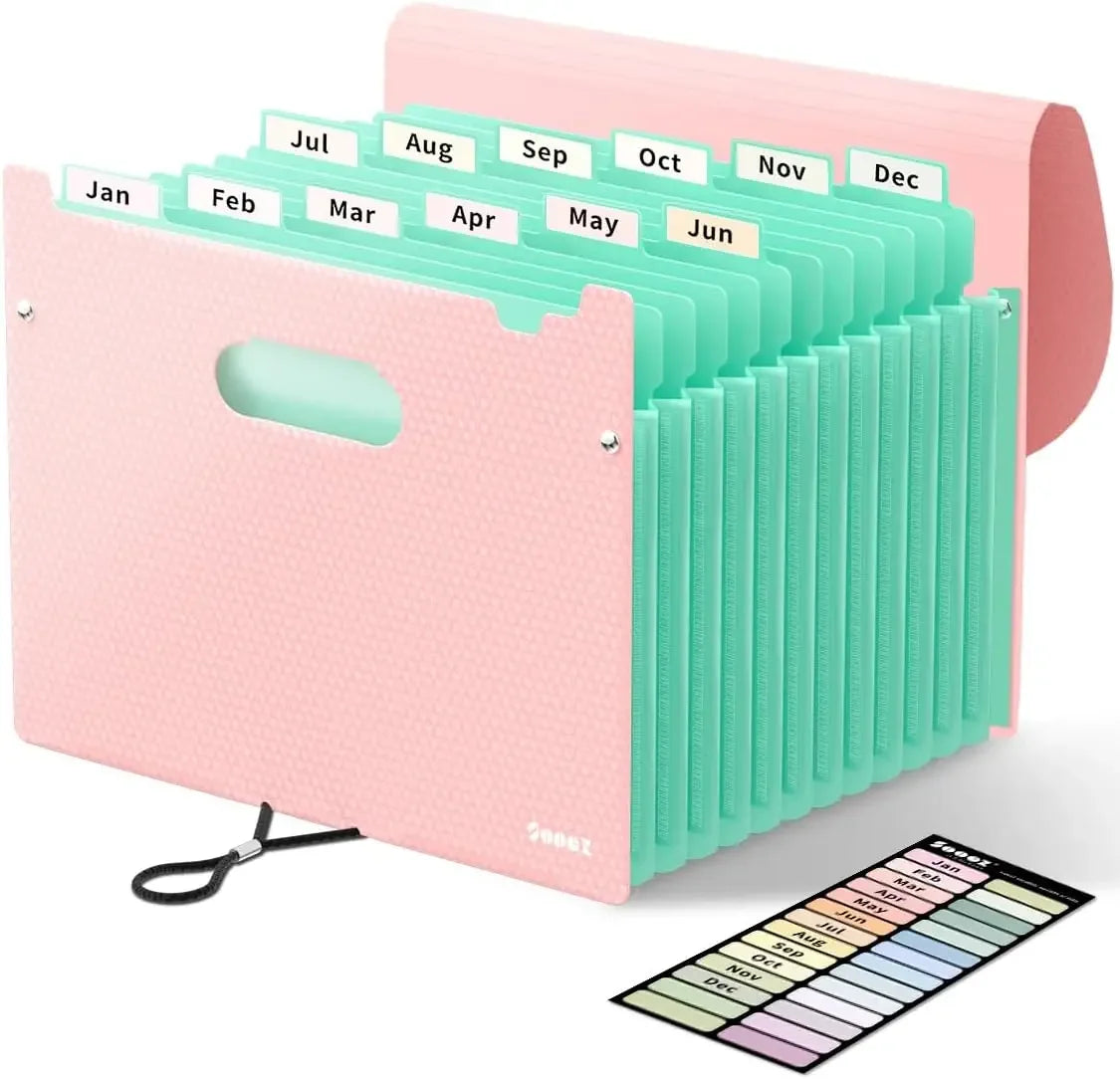 Organ Organizer, 12 Pocket Expandable File Folder