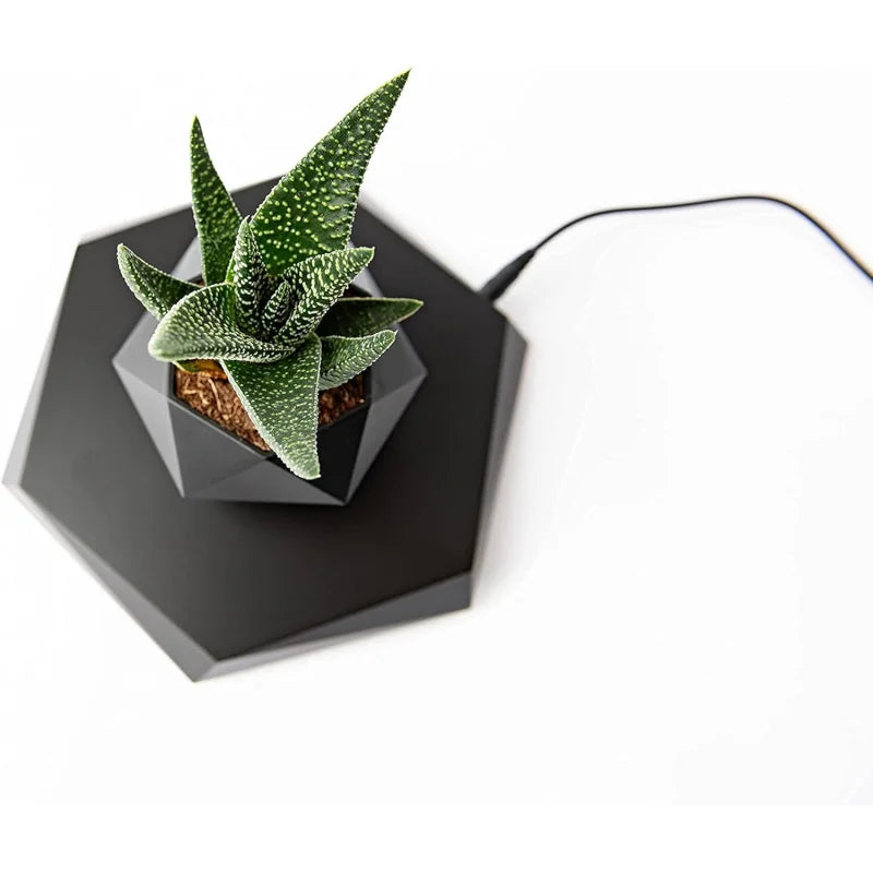 Floating Pot with Magnetic Design for Bonsai, Succulents & Air Plants