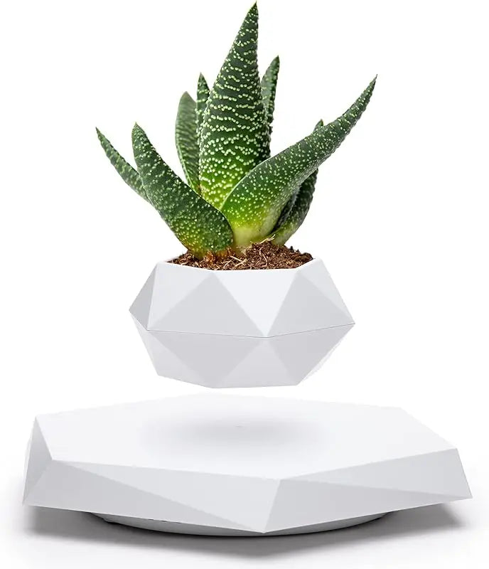 Floating Pot with Magnetic Design for Bonsai, Succulents & Air Plants