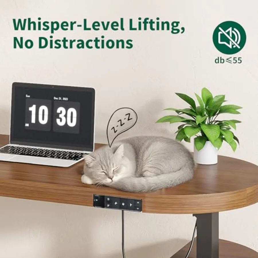 Mid Century Modern Electric Standing Desk with Storage 55 x 22 Inch