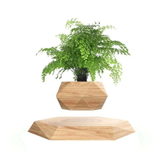 KIYOMING Levitating Plant Pot for Office Home Decoration