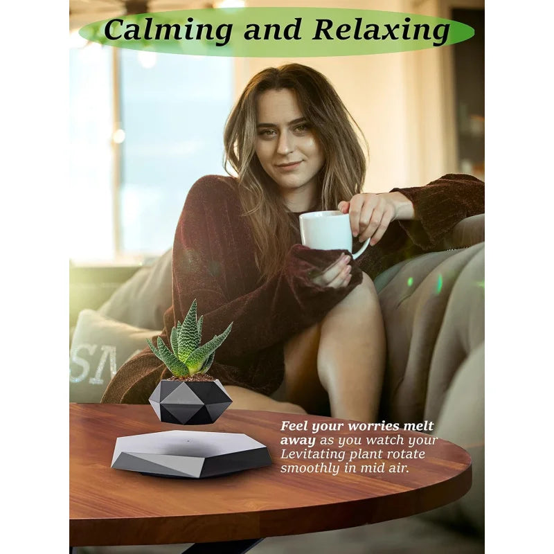 Floating Pot with Magnetic Design for Bonsai, Succulents & Air Plants